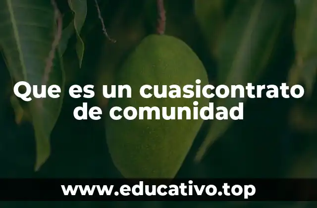 Que es un cuasicontrato de comunidad