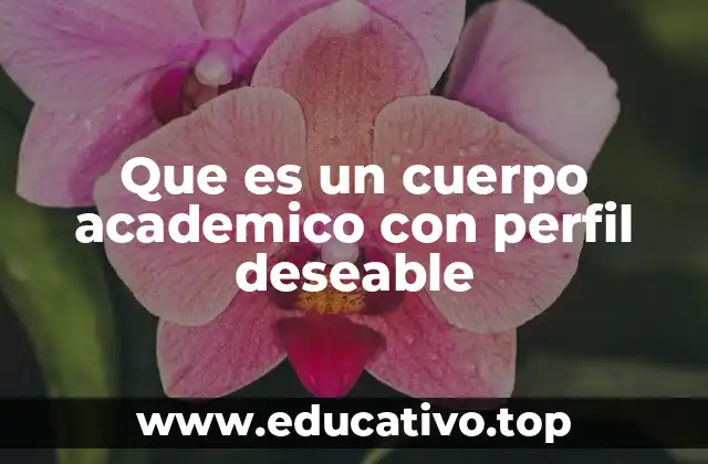 Que es un cuerpo academico con perfil deseable