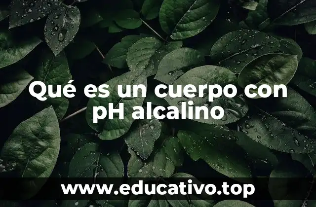 Qué es un cuerpo con pH alcalino