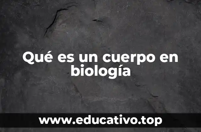 Qué es un cuerpo en biología