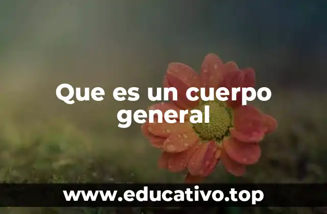 Que es un cuerpo general