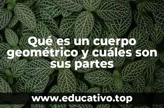 Características generales de los cuerpos geométricos tridimensionales