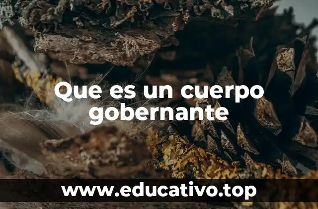 Que es un cuerpo gobernante