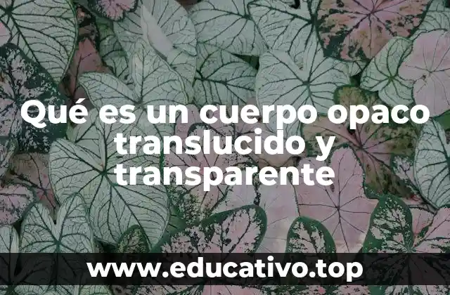Qué es un cuerpo opaco translucido y transparente