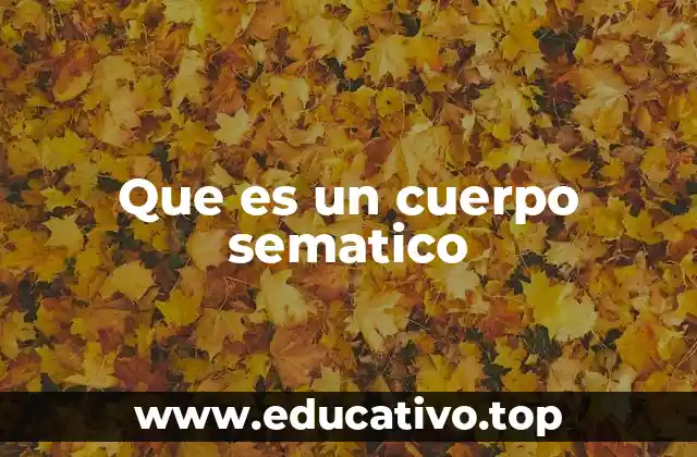Que es un cuerpo sematico
