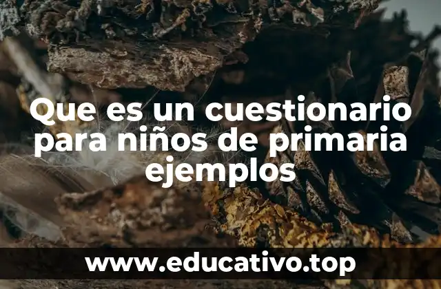 Que es un cuestionario para niños de primaria ejemplos