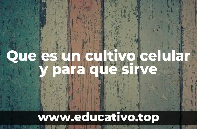 Que es un cultivo celular y para que sirve