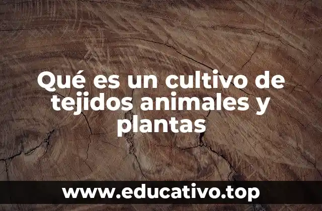 Qué es un cultivo de tejidos animales y plantas