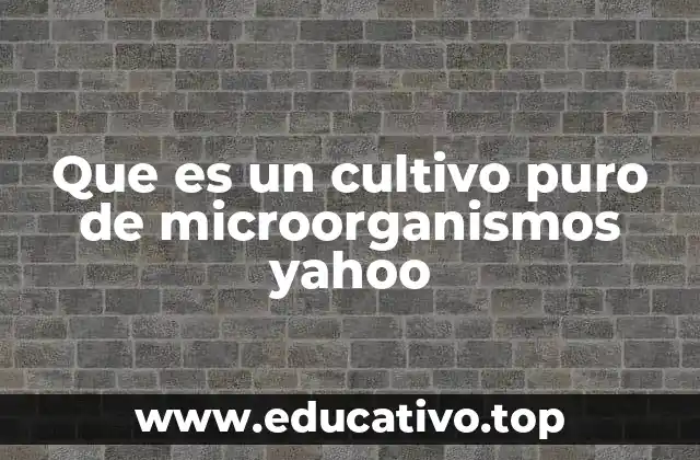 Que es un cultivo puro de microorganismos yahoo
