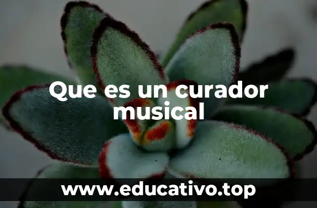 Que es un curador musical