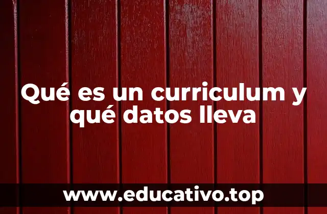 Cómo presentar tu información profesional de manera efectiva