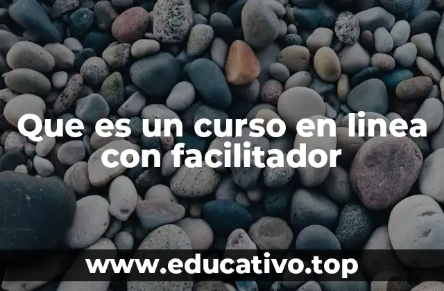 Que es un curso en linea con facilitador