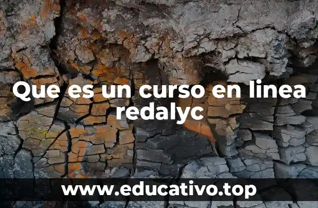 Que es un curso en linea redalyc