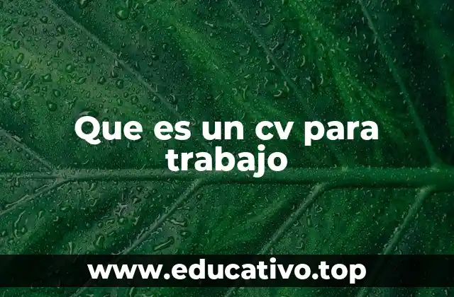 Que es un cv para trabajo