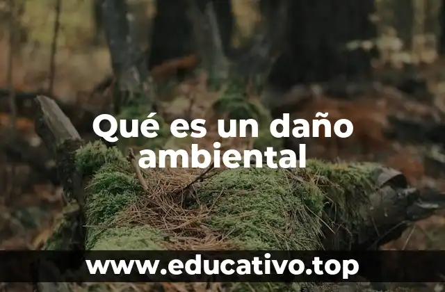 Qué es un daño ambiental
