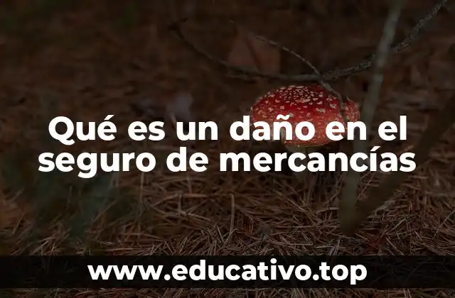 Qué es un daño en el seguro de mercancías