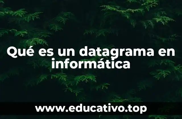 Qué es un datagrama en informática