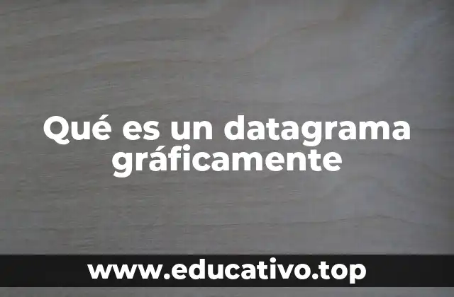 Qué es un datagrama gráficamente