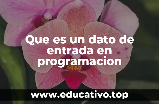 Que es un dato de entrada en programacion