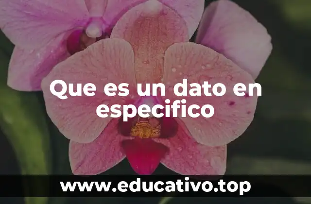 Que es un dato en especifico