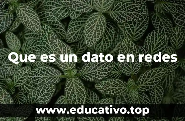 Que es un dato en redes
