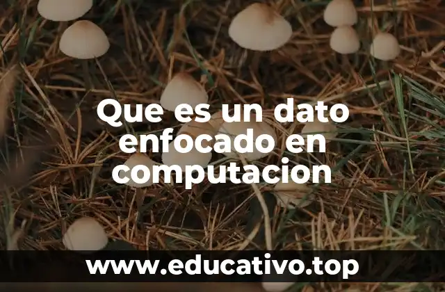 Que es un dato enfocado en computacion