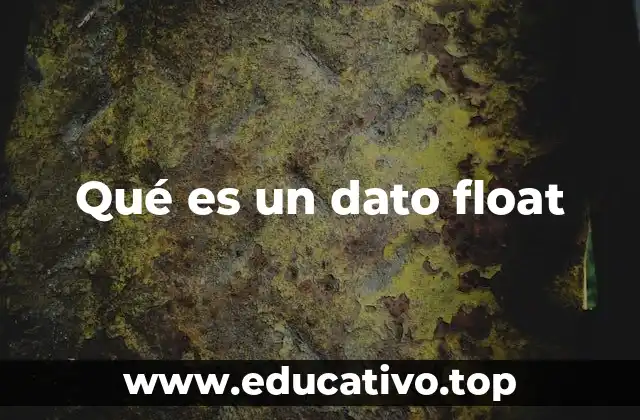 Qué es un dato float