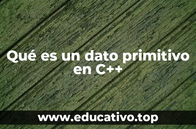 Qué es un dato primitivo en C++