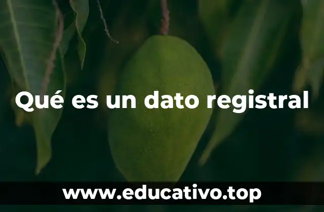 Qué es un dato registral