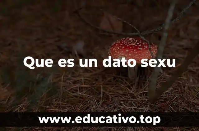 Que es un dato sexu