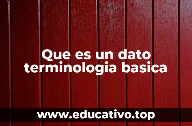 Que es un dato terminologia basica