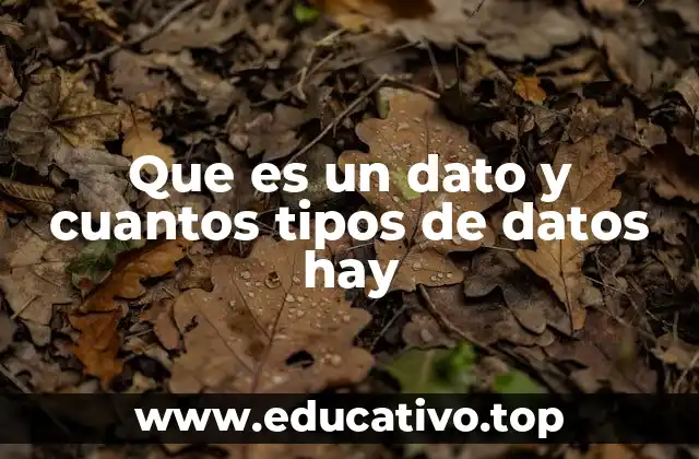 Que es un dato y cuantos tipos de datos hay