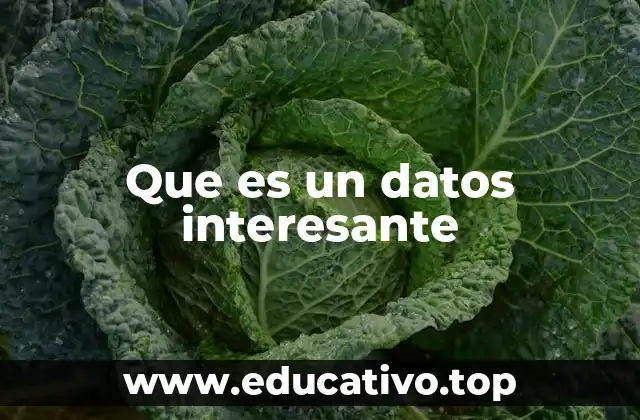 Que es un datos interesante
