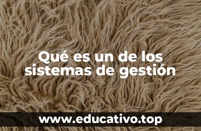 Qué es un de los sistemas de gestión