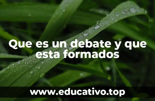 Que es un debate y que esta formados