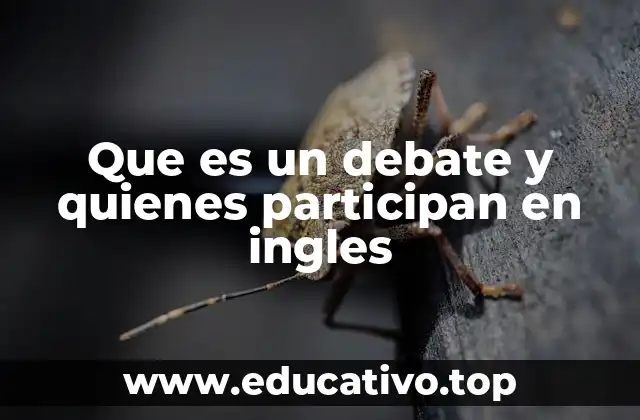 Que es un debate y quienes participan en ingles