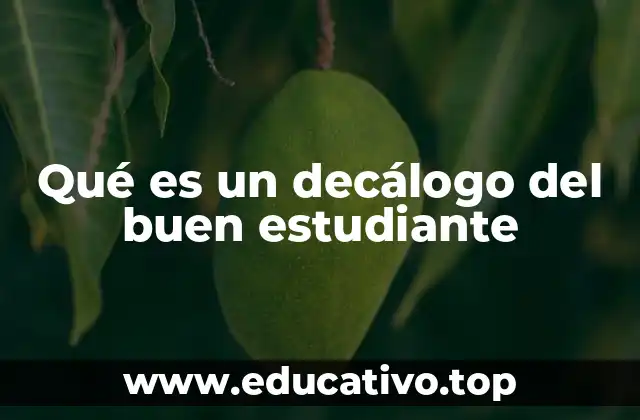 Qué es un decálogo del buen estudiante