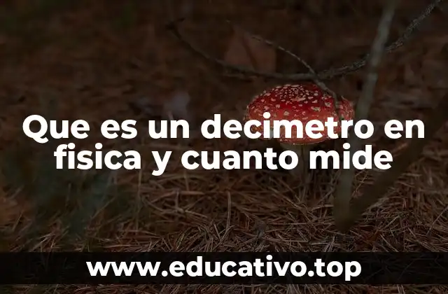 Que es un decimetro en fisica y cuanto mide
