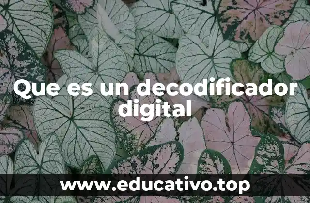 Que es un decodificador digital