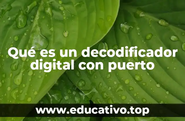 Qué es un decodificador digital con puerto