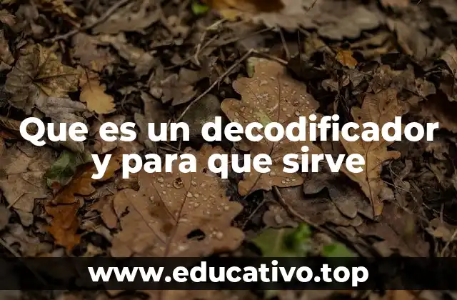 Que es un decodificador y para que sirve