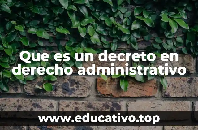 Que es un decreto en derecho administrativo