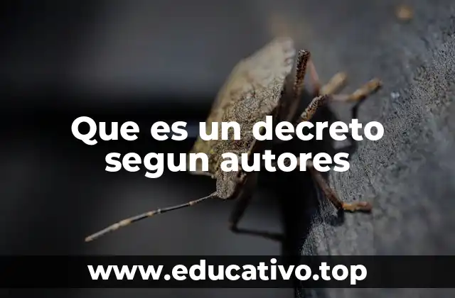 Que es un decreto segun autores
