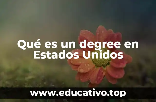 Qué es un degree en Estados Unidos