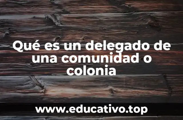 Qué es un delegado de una comunidad o colonia