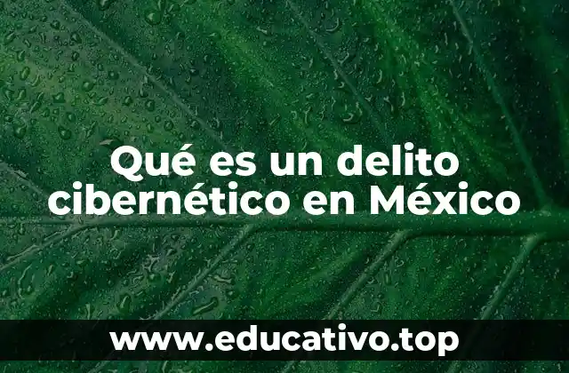 Qué es un delito cibernético en México