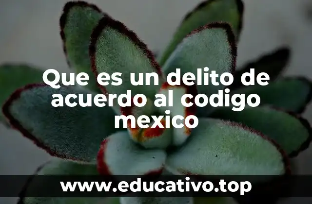 Que es un delito de acuerdo al codigo mexico