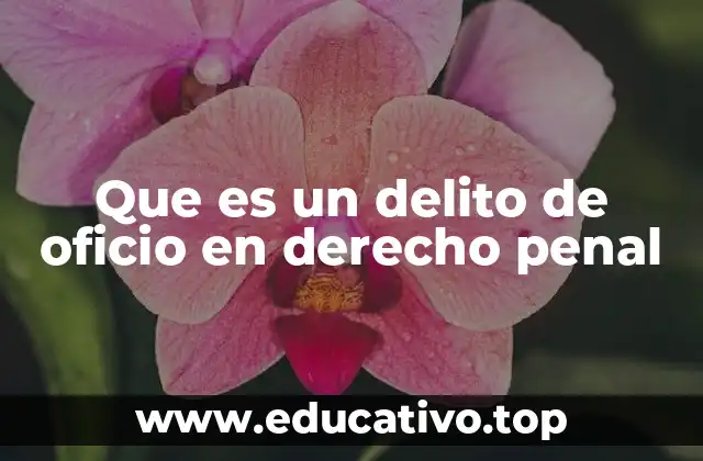 Que es un delito de oficio en derecho penal