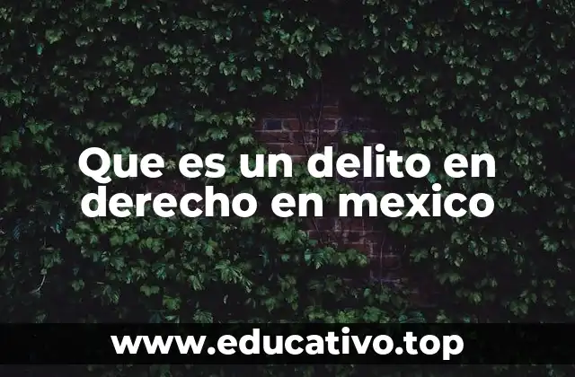 Que es un delito en derecho en mexico
