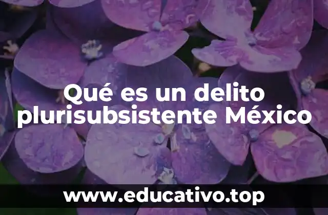Qué es un delito plurisubsistente México
